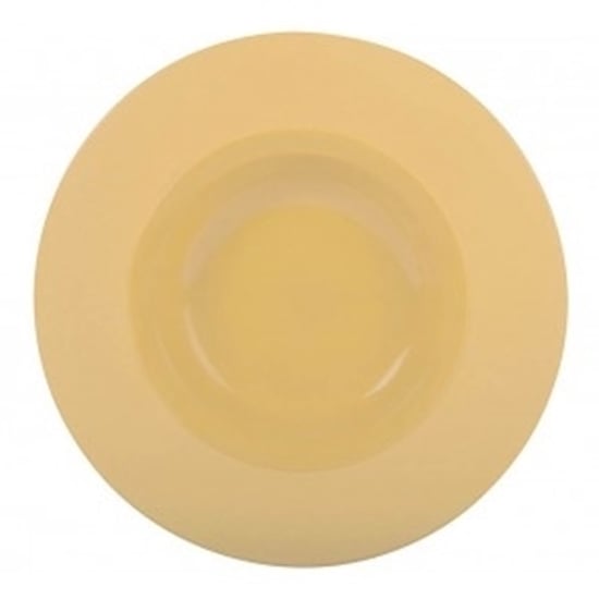 Terra Round Shallow Bowl Wide Rim 9" (23cm)