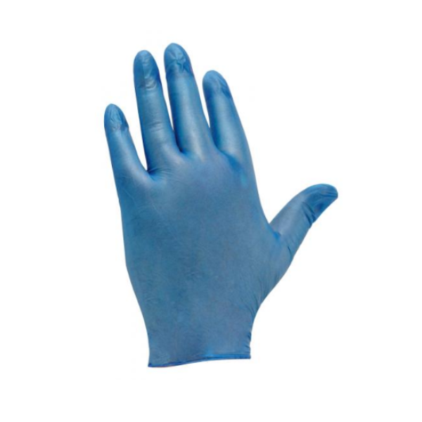 Blue Vinyl Powder Free Gloves (Large)