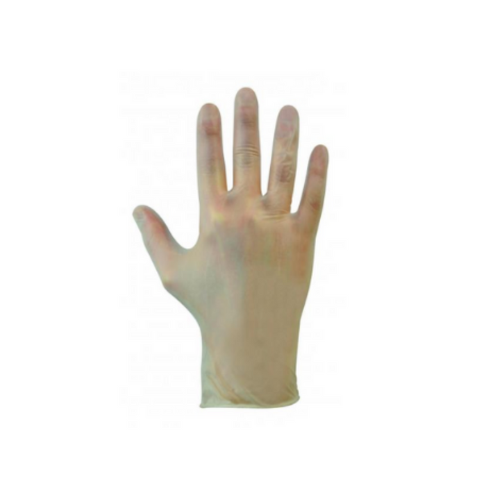 Clear Powder Free Vinyl Gloves (Medium)